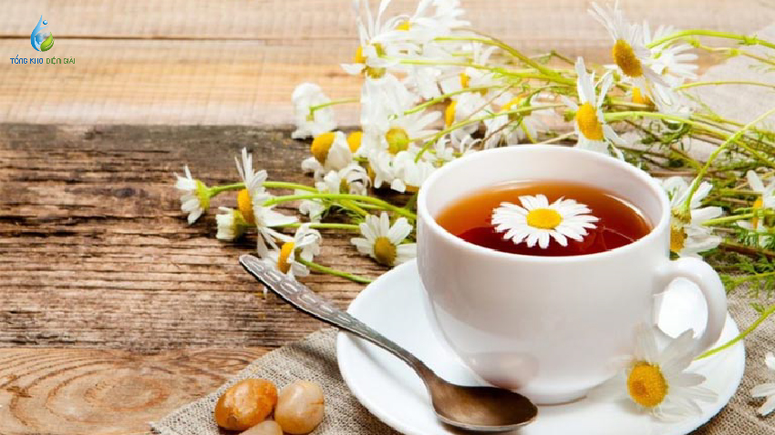 Nếu chưa biết đâu là loại thức uống tốt cho hệ tiêu hóa và dạ dày thì hãy thử trà hoa cúc nhé