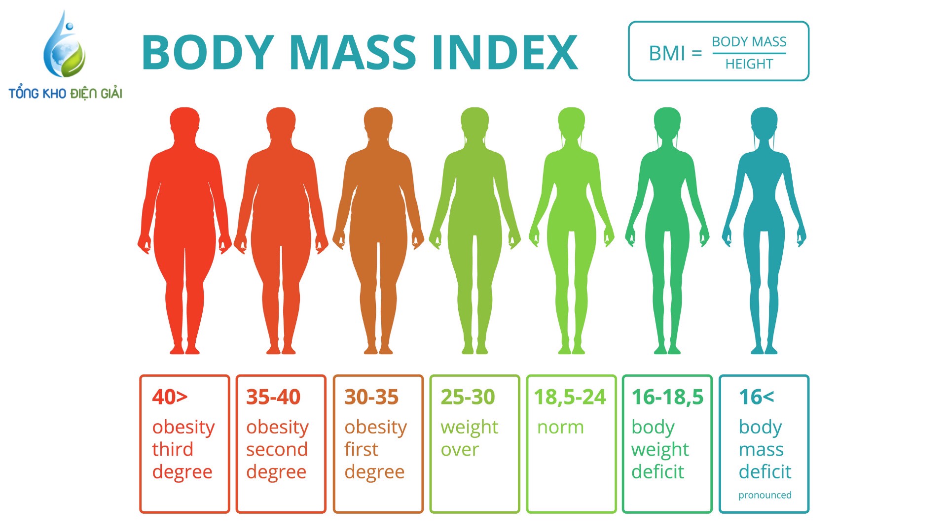 Chỉ số BMI của nam chuẩn