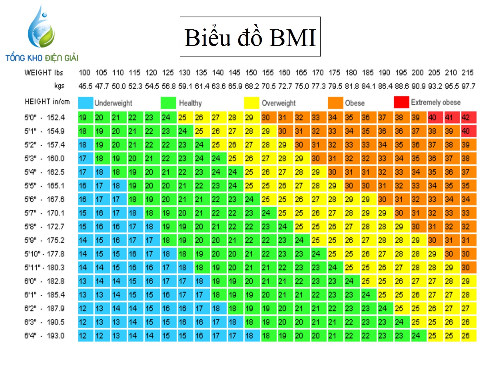 Chỉ số BMI của nam chuẩn